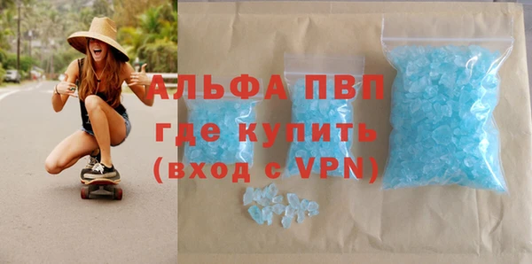 apvp Алзамай