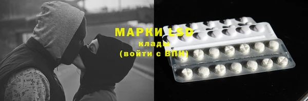 соль ск Алексин